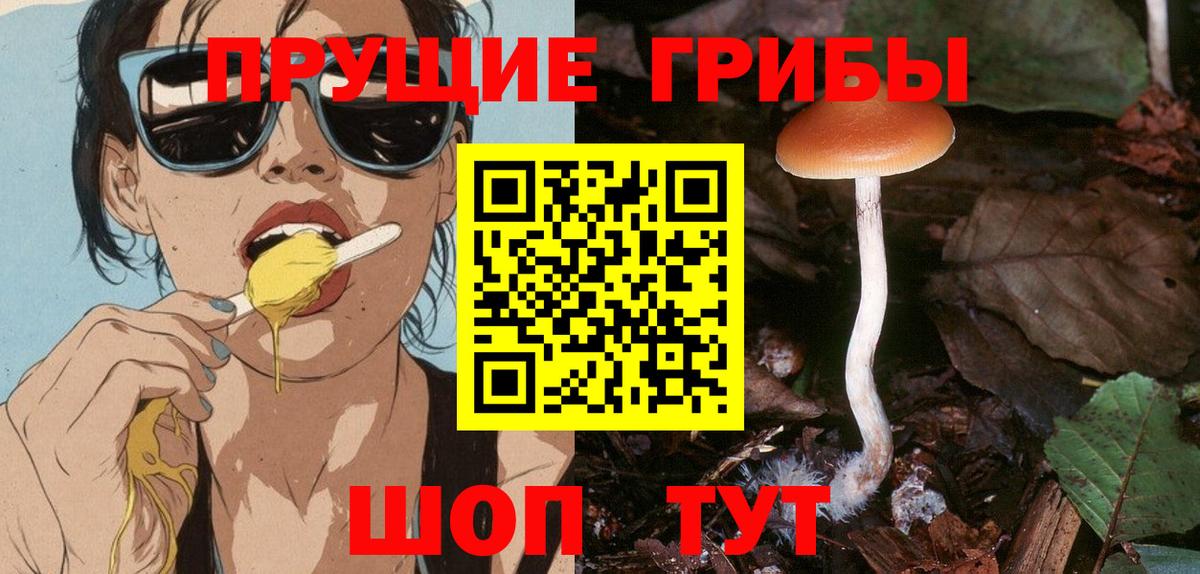 Галлюциногенные грибы прущие грибы Геленджик